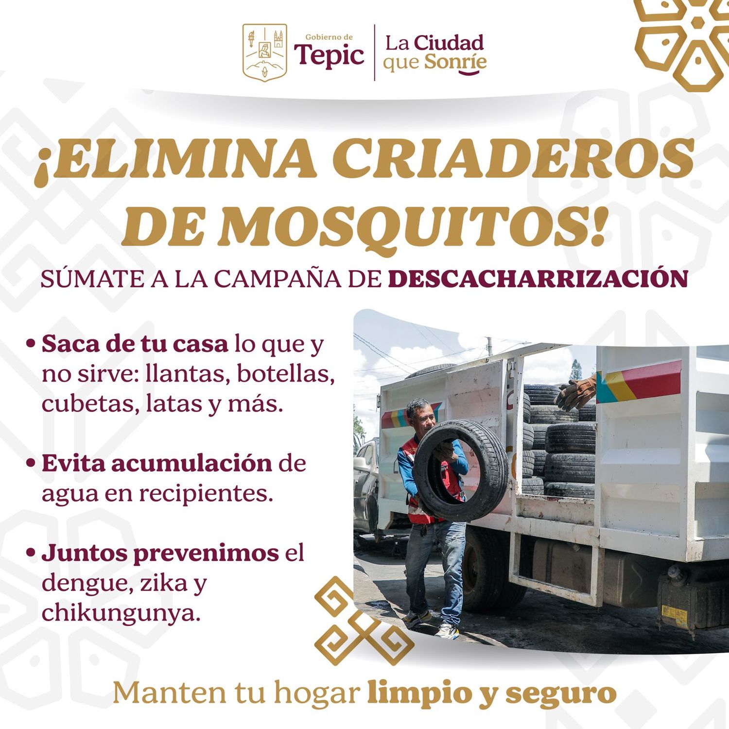 Evita tener criaderos de mosquitos en tu hogar